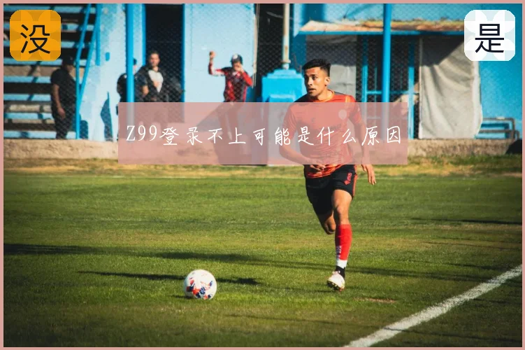 Z99登录不上可能是什么原因