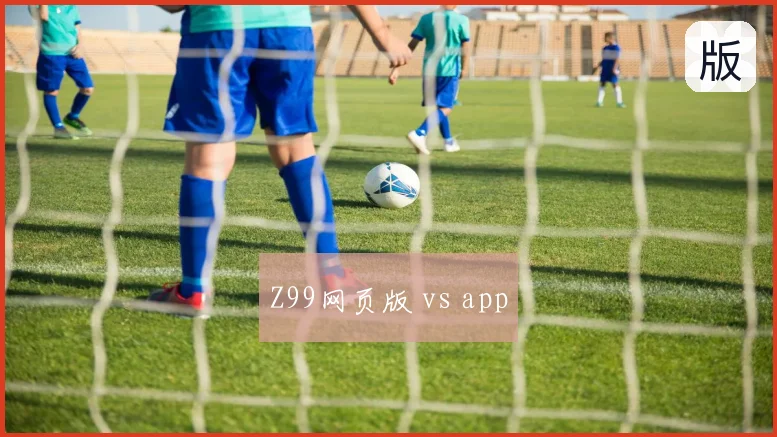 Z99网页版 vs app
